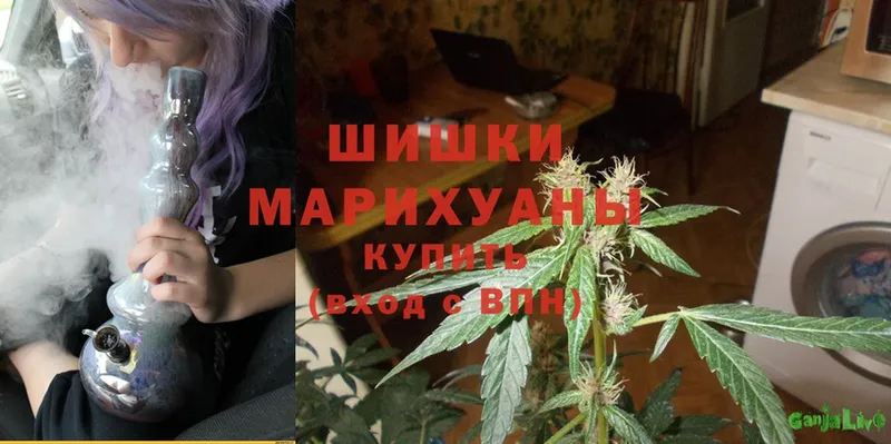 наркота  Тавда  Шишки марихуана THC 21% 